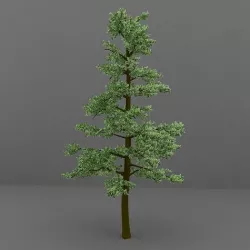 Tree Model  3D model