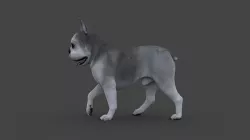 UVWD-012 Dog Textures Only Texture