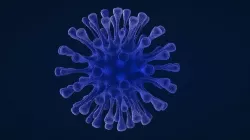 Virus 3D model