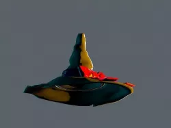 Witch Hat Package 3D model