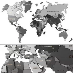 Wooden panel - world map GRAY 3D model