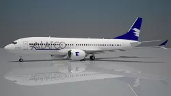 Alafco Boeing 737 max 8 3D model
