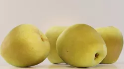 Apple 3D model
