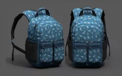 Backpack Camping Generic color 3d model human  Low-poly 3D model