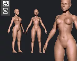 base mesh 3D model
