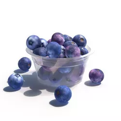 Blueberry 3D model