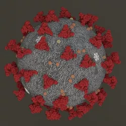 Coronavirus 2019-nCoV 3D model