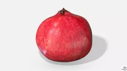 Fruit Pomegranate - Photoscanned PBR Low-poly 3D model