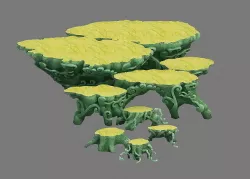 Jade root carving 3D model