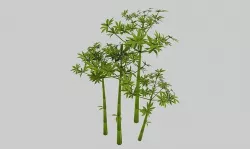 Low poly hand painted bamboo grove in cartoon style Low-poly 3D model