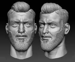 Male head sculpt human hair beard anatomy detailed  3D model