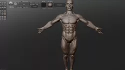 man ecorche 3D model