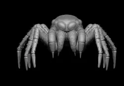 Spider 3D model