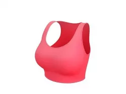 Sport Bra 3D model