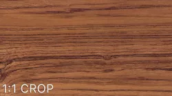 Teak wood veneer texture Texture