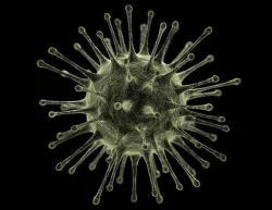 Virus 3D model