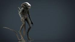 Alien Xenomorph High Detail 3d Model Cgstudio Xenomorph 3D Modelle Zum