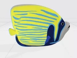 angel fish 3D model