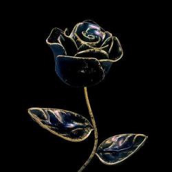 Antique Black Rose 3D model