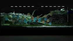 Aquarium  3D model