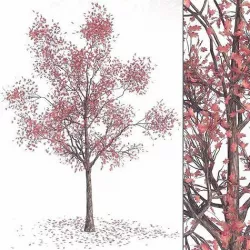Autumn Tree 3D model