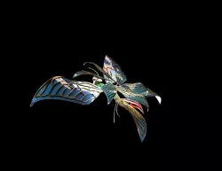 BUTTERFLY 3D model