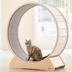 Cat Wheel 3D model