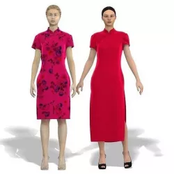 Chinese cheongsam     Japanese and Korean clothing 3D model