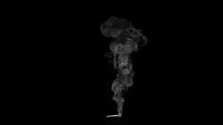 Cigarette and smoke fog 3D model