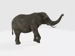 elephant 3D model