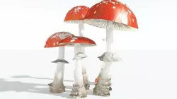 EVERYPlant Fly Agaric 01 --12 Models-- 3D model