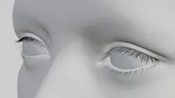 Eyelashes male Low-poly 3D model
