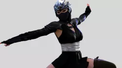 Female Ninja 3D model