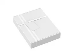 Gift Box 3D model