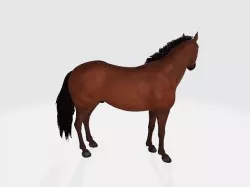 Horse  3D model