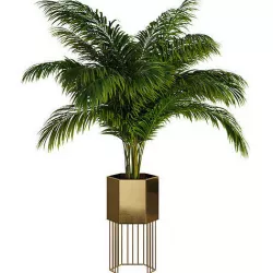 Houseplant 75 3D model