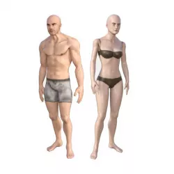 Human Character Base Pack Low-poly 3D model