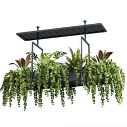 Indoor plant set 05-Hanging plants 3D model