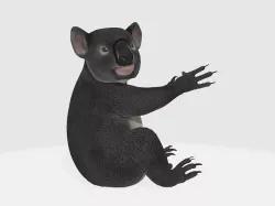 koala 3D model