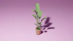 Large leaf plant 3D model