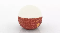 Lychee Peeled 3D model