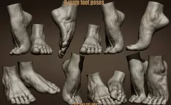 Male foot poses  3D model