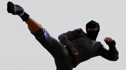Male Ninja 3D model