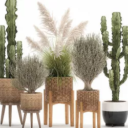 Ornamental plants in rattan baskets 1082 3D model