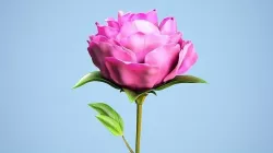 Peony Low-poly 3D model