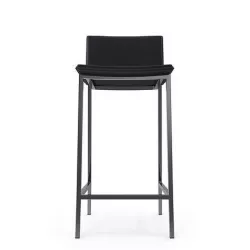 Phoenix Carbon Grey 30 Inch Bar Stool 3D model