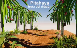 Pitahaya 3D model