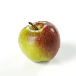 POLYPASTA - Apple 01 3D model