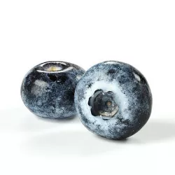 POLYPASTA - Blueberry 01 3D model