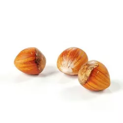 POLYPASTA - Hazelnut 01 3D model